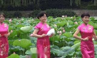 郑州四十七中分校 郑州四十七中分校