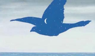 我不看月亮 我不看月亮