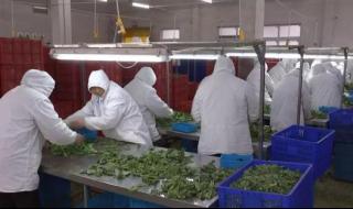 南通电视台城市日历