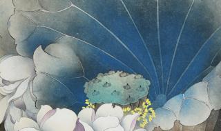 小池诗配画 小池诗配画