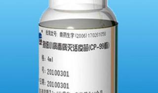 猪细小病毒 猪细小病毒