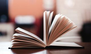 api支付接口 api支付接口