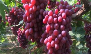 一号三角点 一号三角点