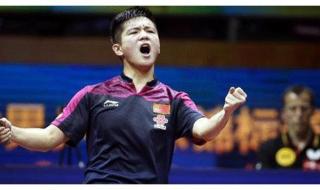 张继科波尔 张继科波尔