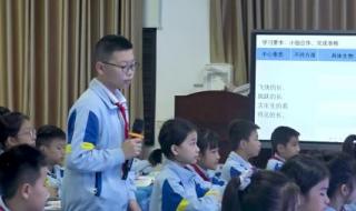 夏天里的成长 夏天里的成长