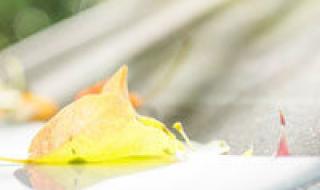 lol头像怎么获得 lol头像怎么获得