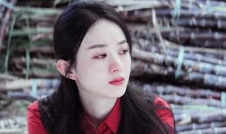 赵丽颖演的雷金玉 赵丽颖演的雷金玉