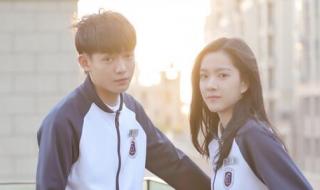 我的刺猬女孩大结局