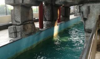 泰安天乐城水世界 泰安天乐城水世界