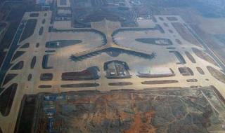 警方调查黄金鲍事件 警方调查黄金鲍事件