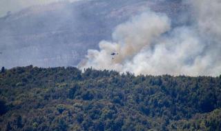 阿根廷国家队2024赛程