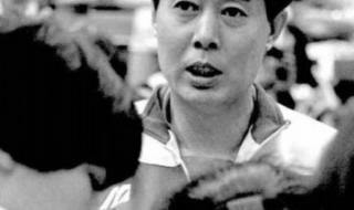 历届中国女排主教练